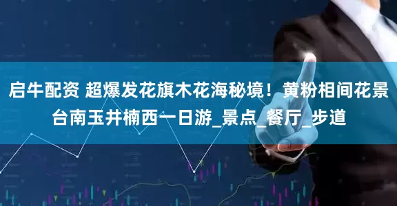 启牛配资 超爆发花旗木花海秘境！黄粉相间花景台南玉井楠西一日游_景点_餐厅_步道