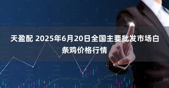 天盈配 2025年6月20日全国主要批发市场白条鸡价格行情