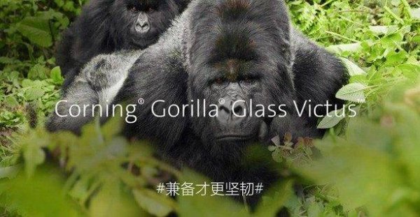 盈股网在线 放弃与手机厂商的独家协议，康宁主动让步以避免欧盟反垄断罚款