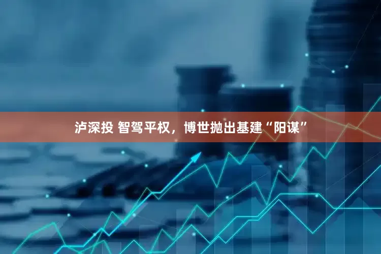 泸深投 智驾平权，博世抛出基建“阳谋”