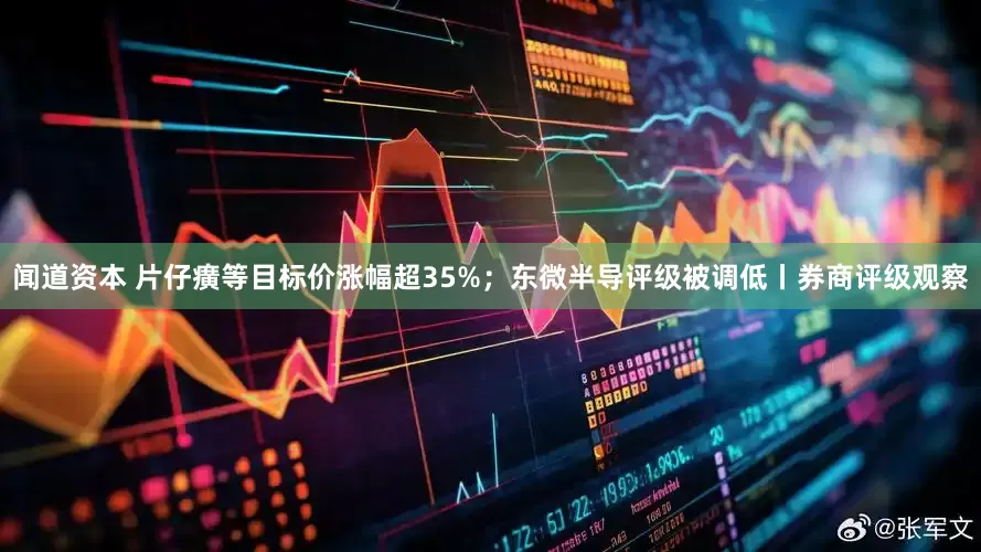 闻道资本 片仔癀等目标价涨幅超35%；东微半导评级被调低丨券商评级观察