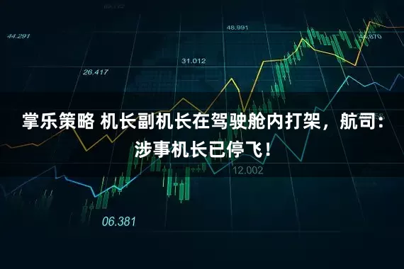掌乐策略 机长副机长在驾驶舱内打架，航司：涉事机长已停飞！